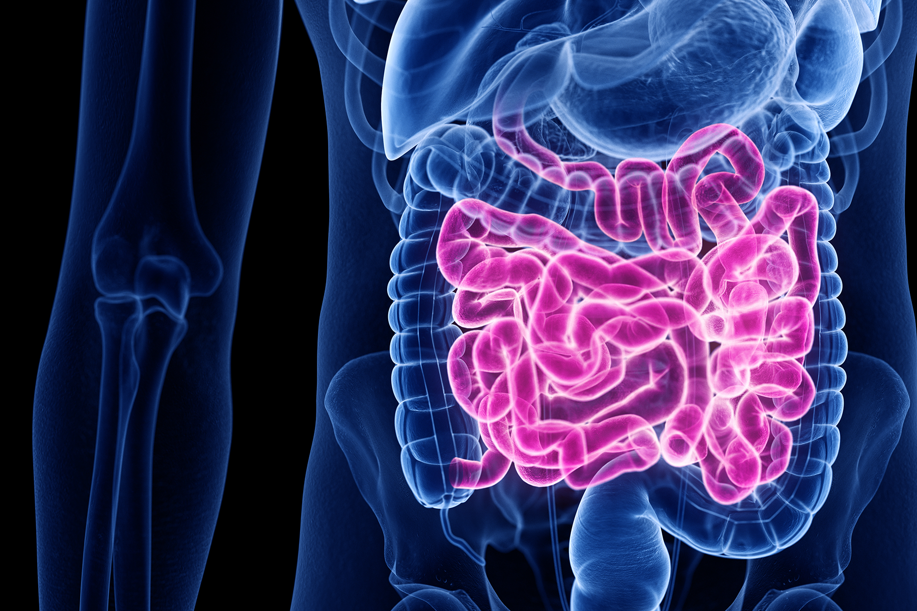 ei-scientists-to-tackle-deadly-gastroenteritis-thanks-to-2m-funding